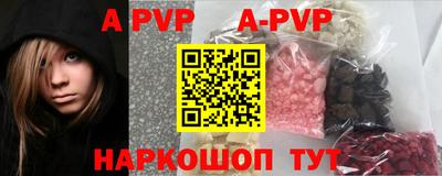 бошки Кингисепп