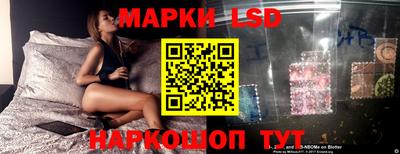 бошки Кингисепп
