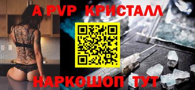 бошки Кингисепп