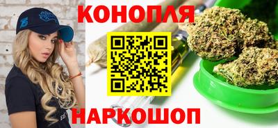 бошки Кингисепп