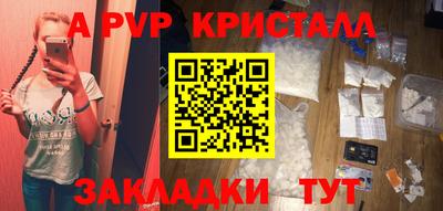 бошки Кингисепп