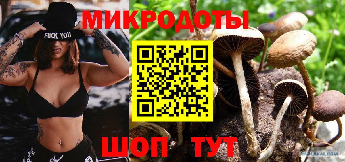 Псилоцибиновые грибы Magic Shrooms  Псилоцибиновые грибы Magic Shrooms  Вход с VPN  Красноярск 